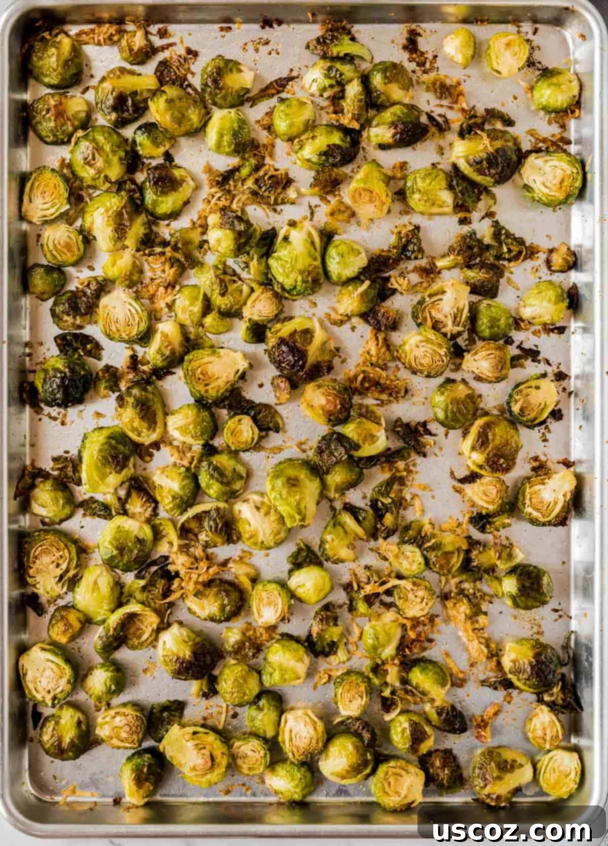 Parmesan Roasted Brussels Sprouts 9 roasted parmesan brussels sprouts fresh out of the oven