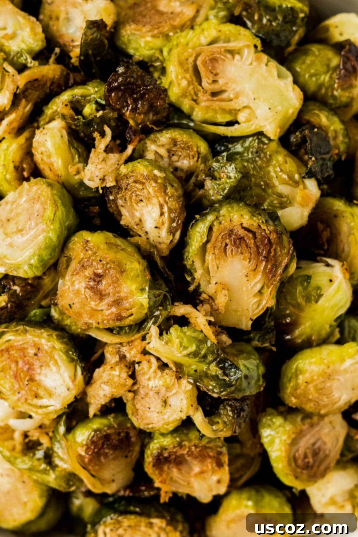 Parmesan Roasted Brussels Sprouts 10 parmesan roasted brussels sprouts in a serving bowl, ready to eat