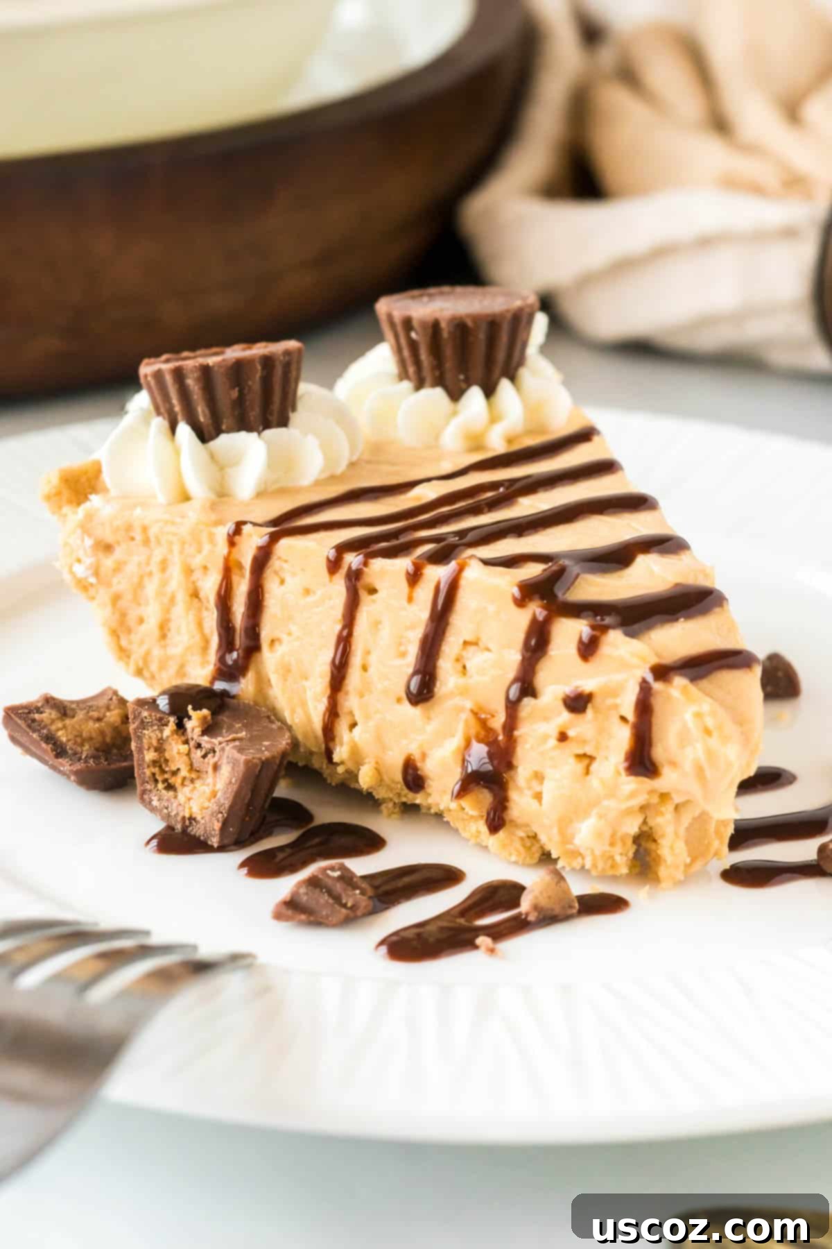 Simple No-Bake Peanut Butter Delight 2 A slice of creamy no-bake peanut butter pie drizzled generously with chocolate sauce, ready to be enjoyed.
