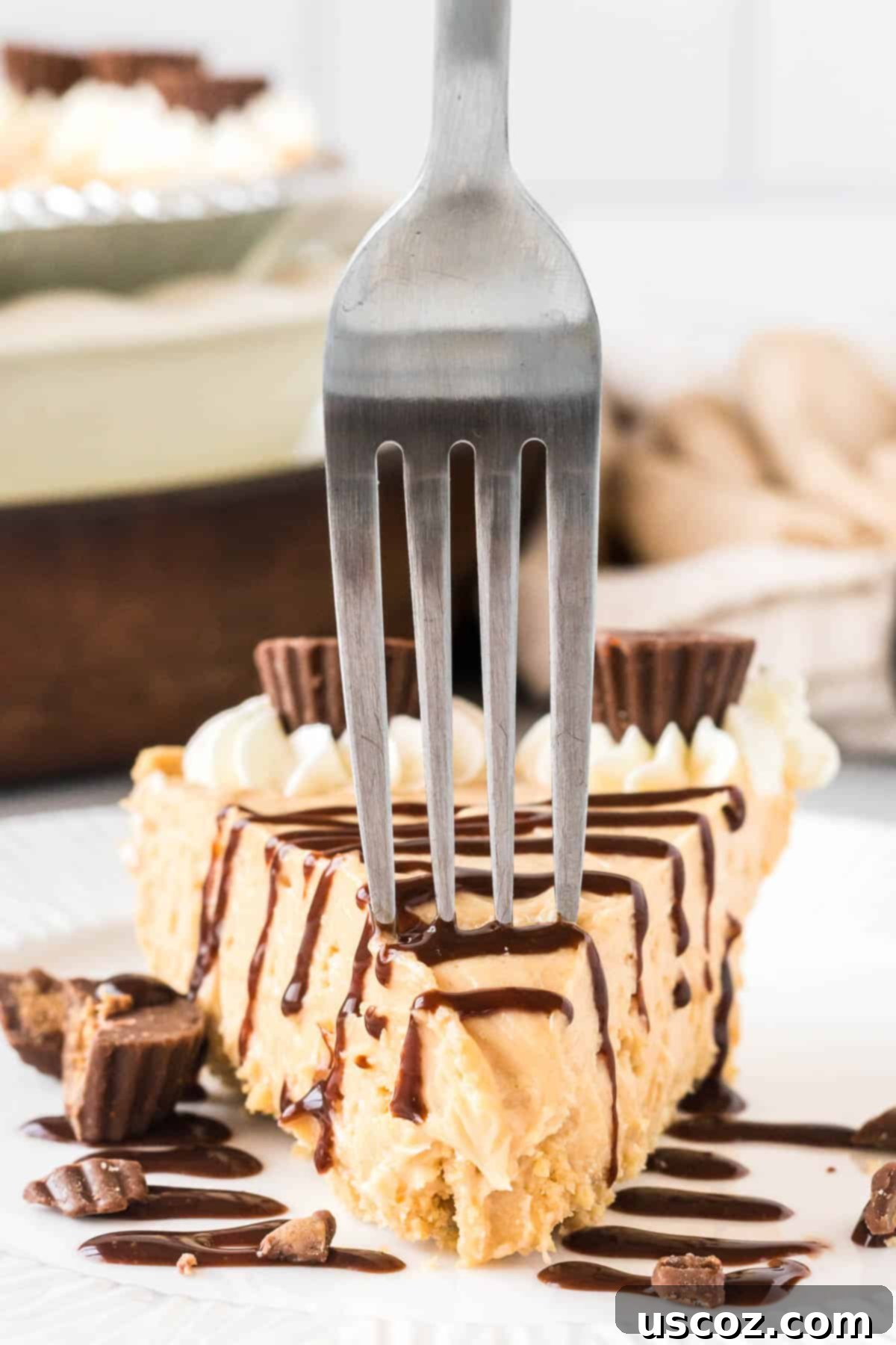 Simple No-Bake Peanut Butter Delight 14 A close-up shot of a person taking a delightful bite of the no-bake peanut butter pie.