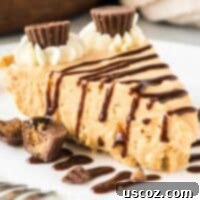 Simple No-Bake Peanut Butter Delight 18 A slice of creamy no-bake peanut butter pie drizzled generously with chocolate sauce, ready to be enjoyed.