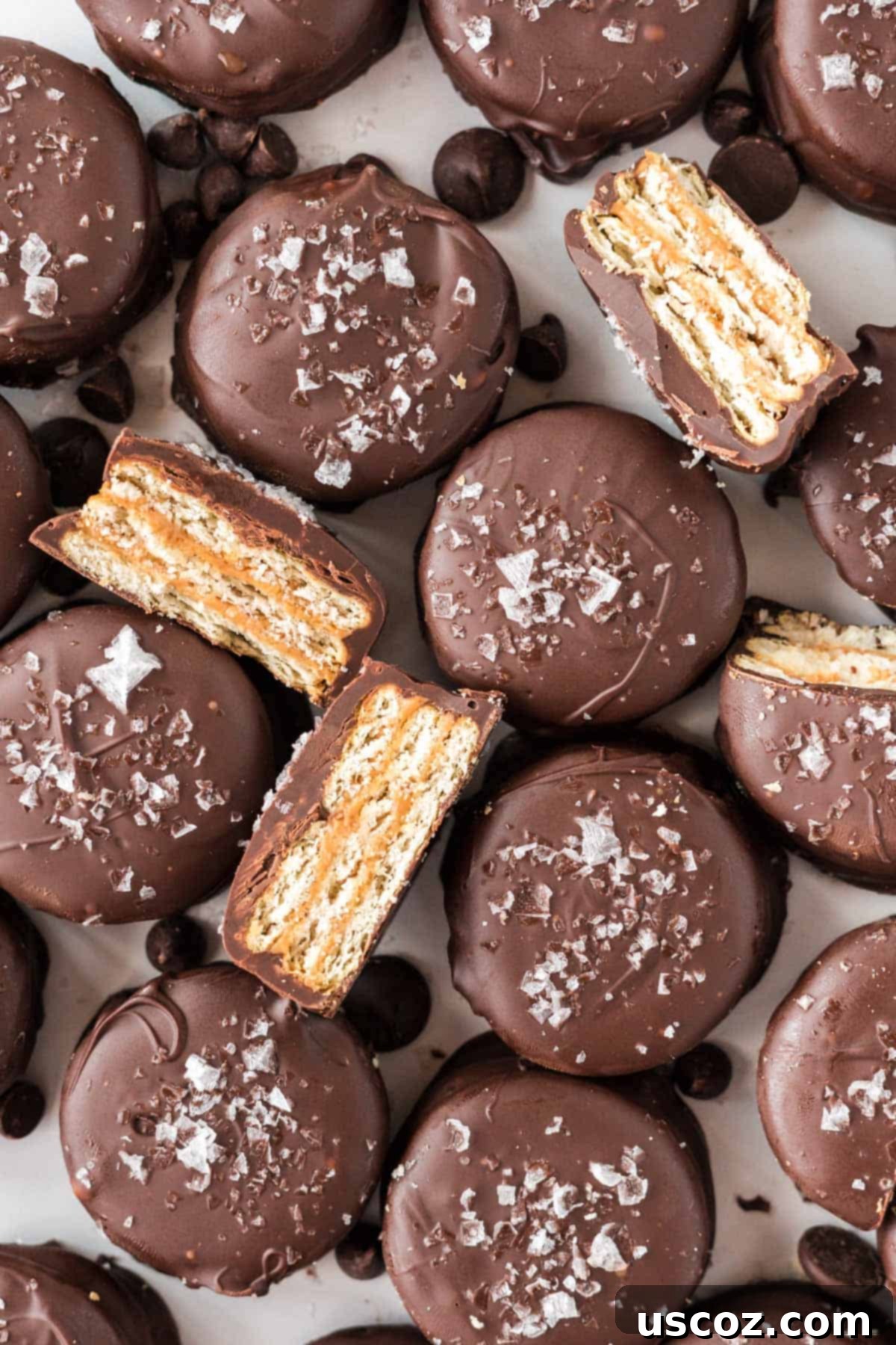 Irresistible Ritz Cookie Bites 16 Ritz Cracker Cookies, some whole and one cut in half to show the peanut butter layers.