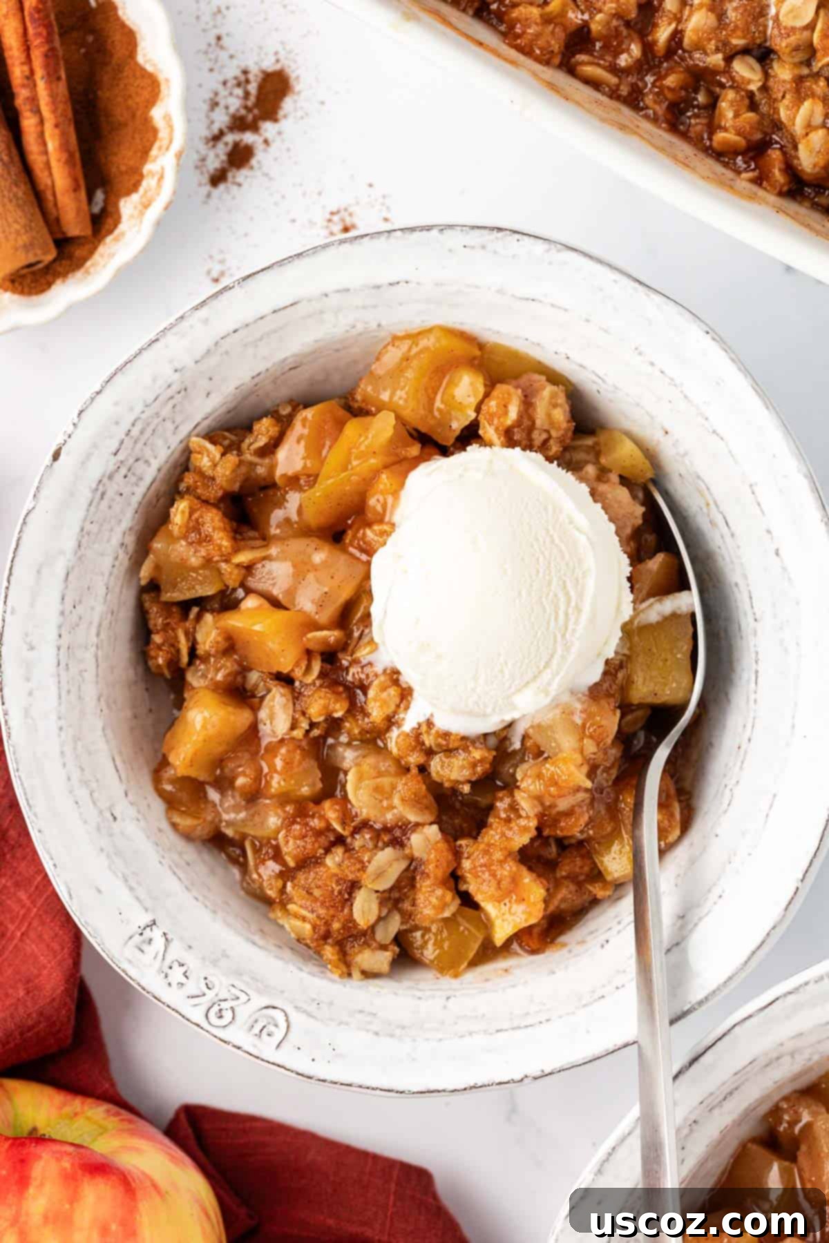 Comforting Vegan Apple Crisp 2 vegan apple crisp topped with a scoop of ice cream