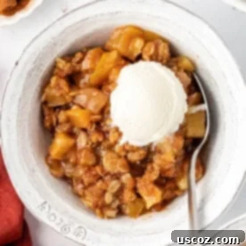 Comforting Vegan Apple Crisp 20 Delicious Vegan Apple Crisp, served with a scoop of creamy vanilla ice cream