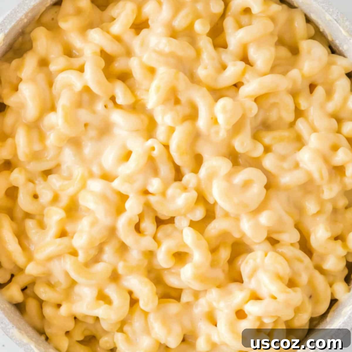 Creamy Greek Yogurt Mac and Cheese 7 creamy greek yogurt mac and cheese in a pot, ready to serve