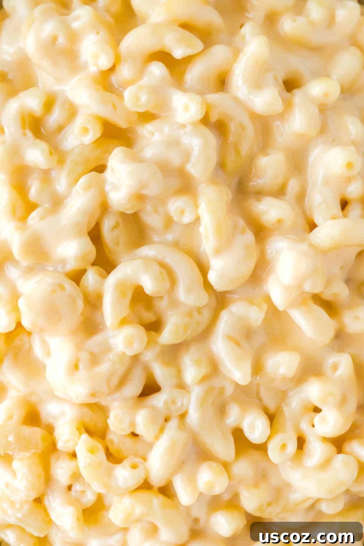 Creamy Greek Yogurt Mac and Cheese 8 creamy greek yogurt mac and cheese served in a bowl, ready to eat
