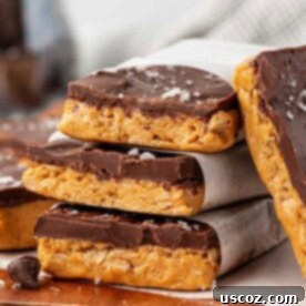 Effortless Protein Bars 21 no bake protein bars