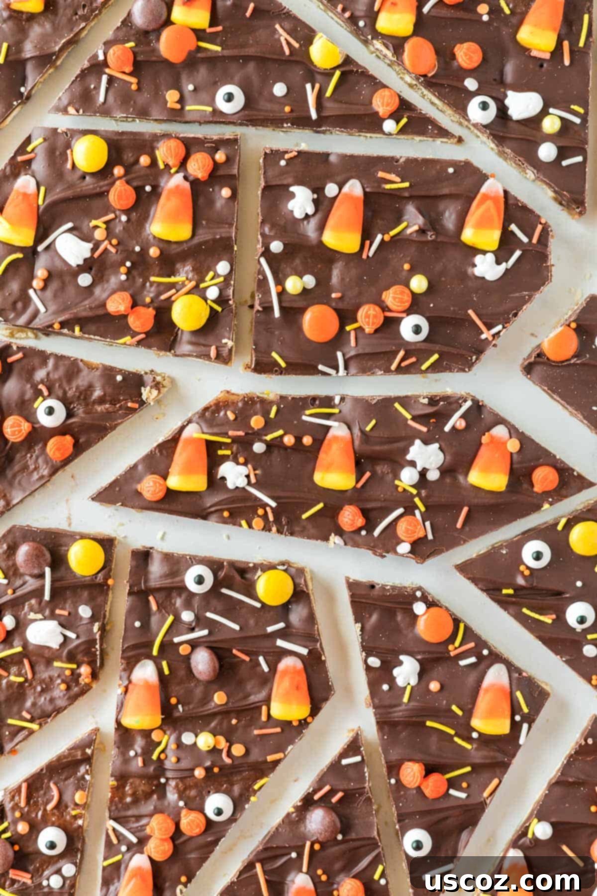 Spooky Halloween Crack 13 Halloween crack candy broken into pieces, ready for storage or enjoying.