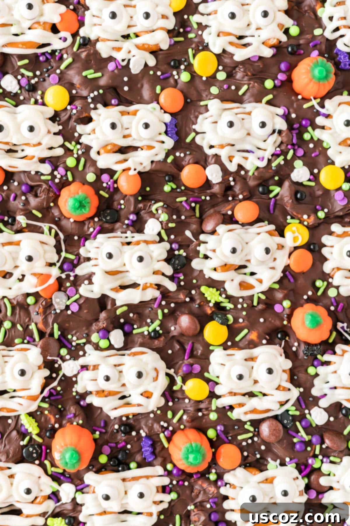Monster Mash Bark 14 halloween mummy bark arranged beautifully on a serving dish