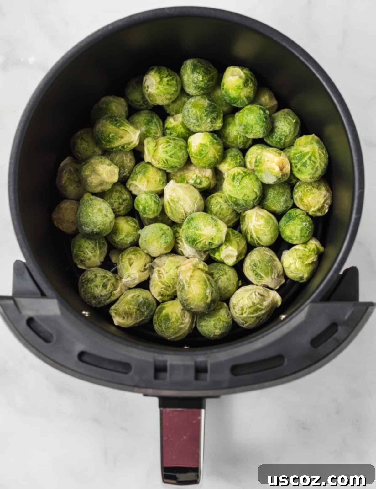 Freezer to Fork Air Fried Brussels Sprouts 3 frozen brussel sprouts in an air fryer