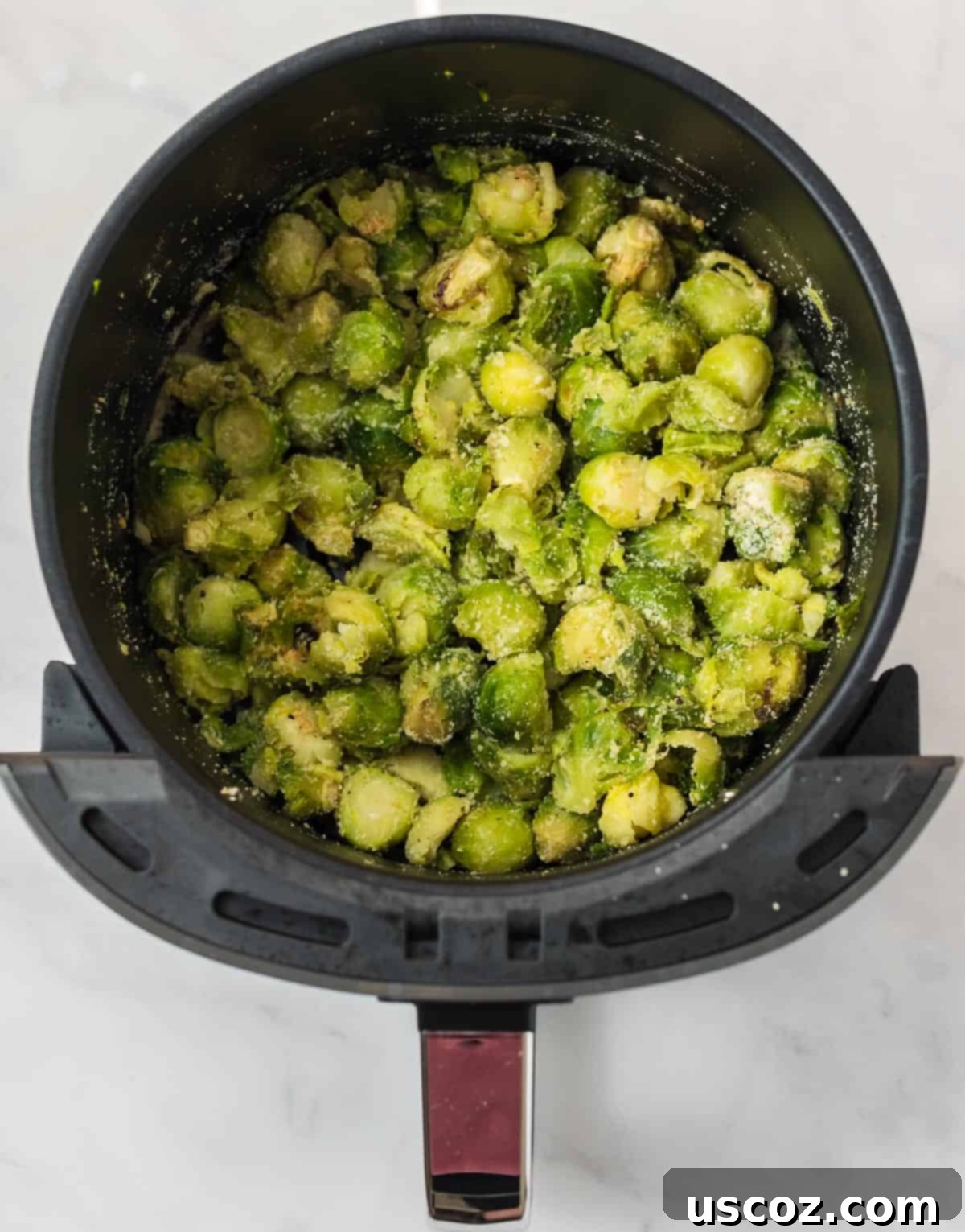 Freezer to Fork Air Fried Brussels Sprouts 4 brussel sprouts cut up and topped with parmesan cheese