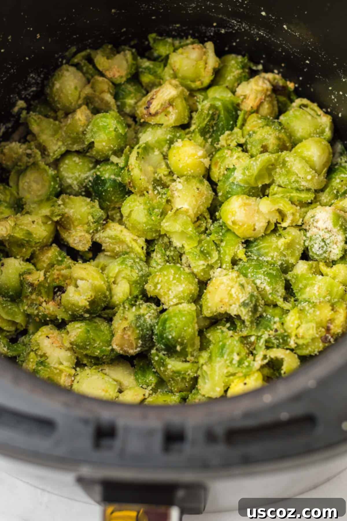 Freezer to Fork Air Fried Brussels Sprouts 5 brussel sprouts cut up and topped with parmesan cheese