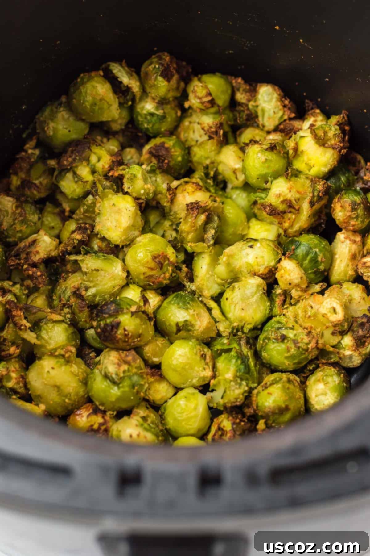 Freezer to Fork Air Fried Brussels Sprouts 8 air fried frozen brussel sprouts