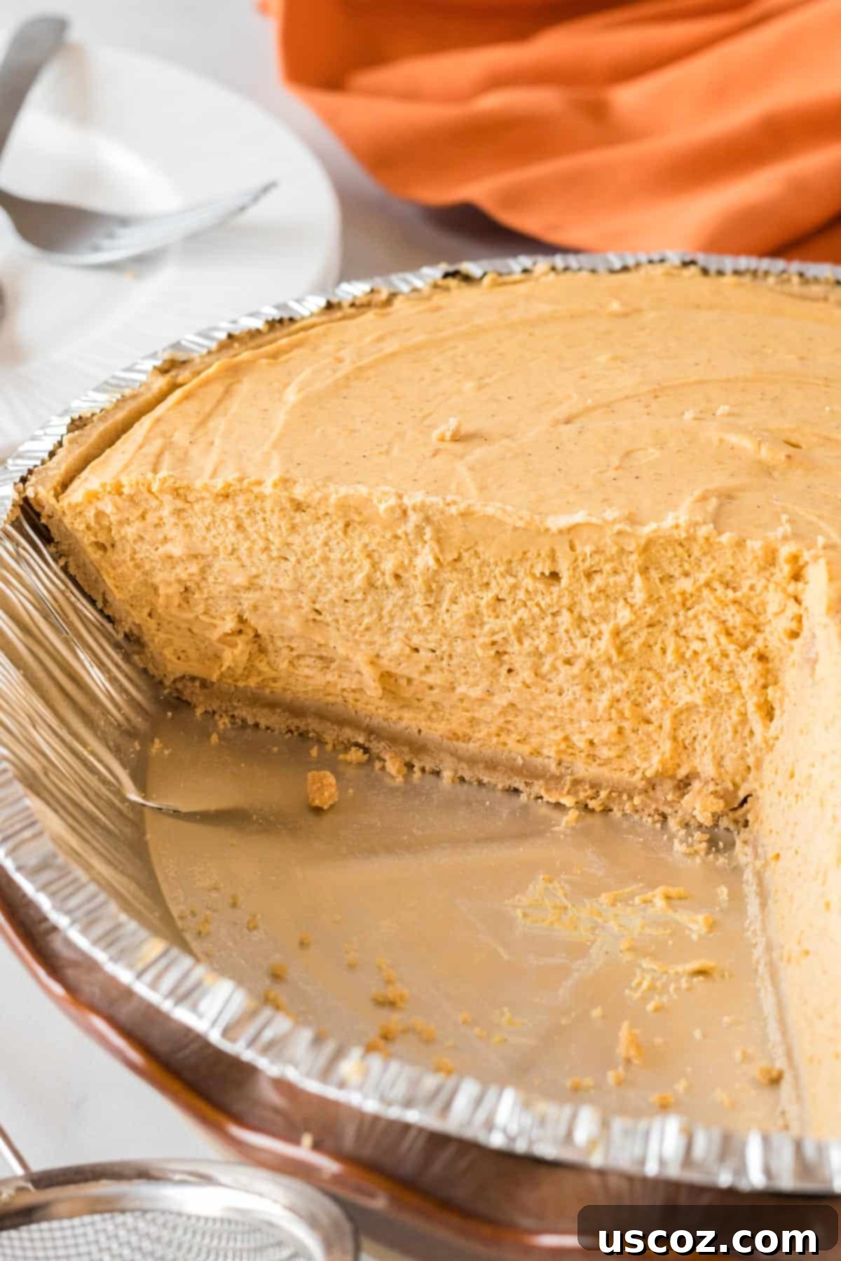 Creamy Pumpkin Delight 15 showing the texture of the whipped no bake pumpkin pie