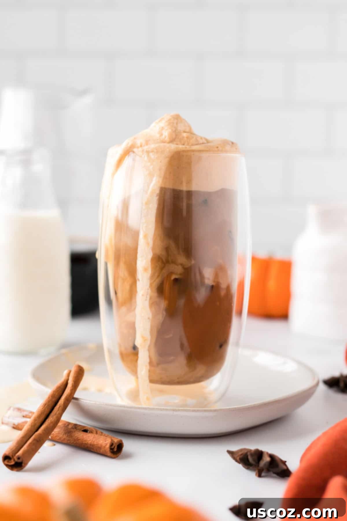 Spiced Pumpkin Cold Brew 11 A glass of homemade pumpkin cold brew coffee, garnished with a sprinkle of pumpkin spice