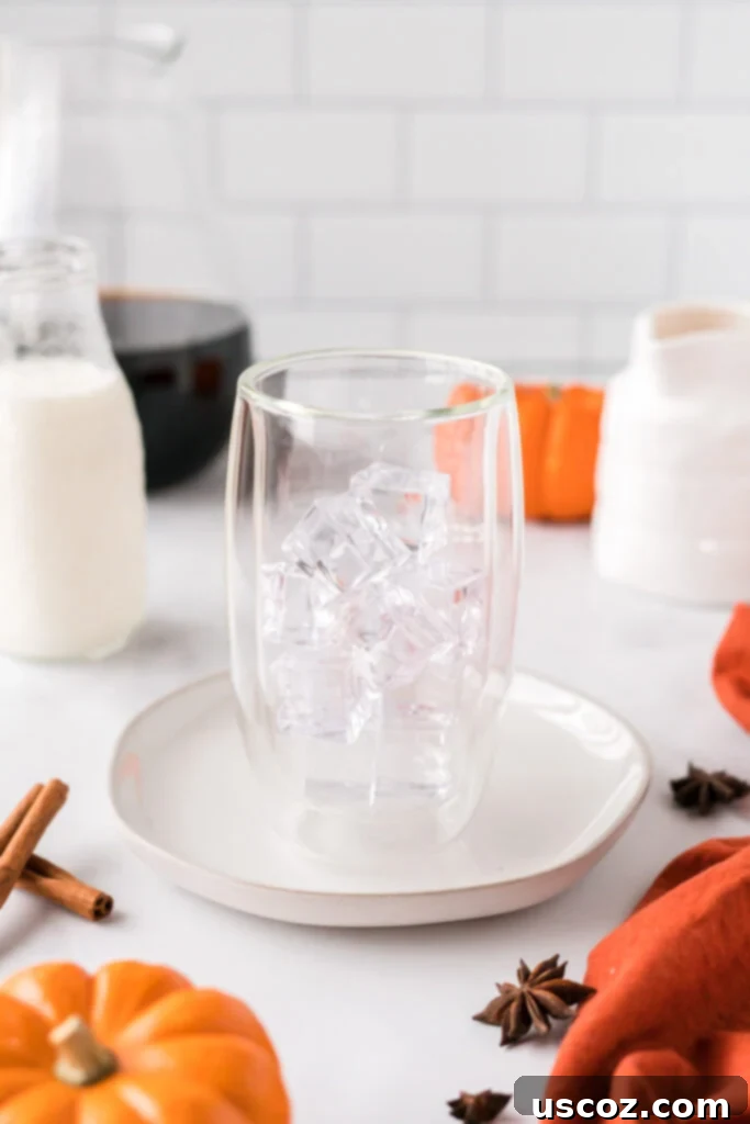 Spiced Pumpkin Cold Brew 7 A clear glass filled with ice cubes, ready for coffee