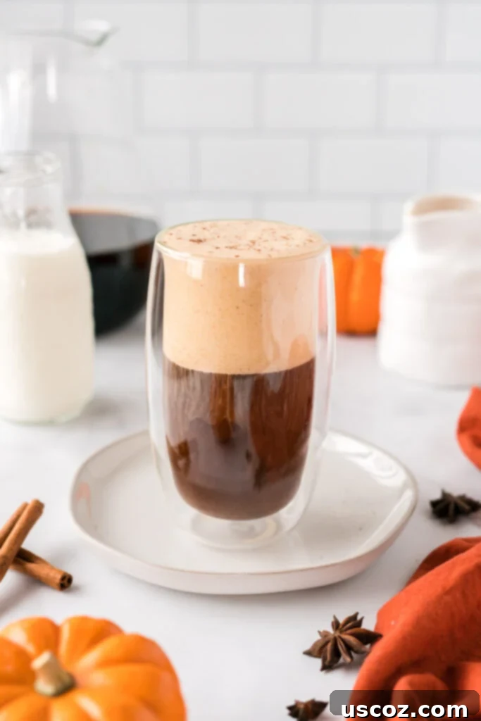 Spiced Pumpkin Cold Brew 9 Cold brew coffee topped generously with frothy pumpkin cream, ready to be mixed