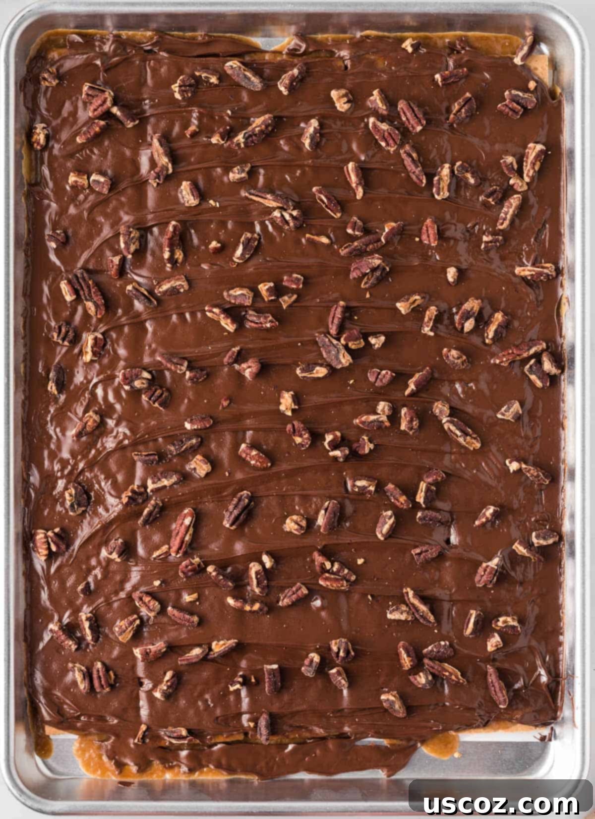 Golden Graham Toffee 13 adding toasted pecans to the melted chocolate layer on the graham cracker toffee