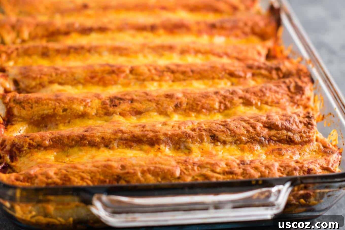 Cheesy Refried Bean Enchiladas 5 enchiladas with refried beans