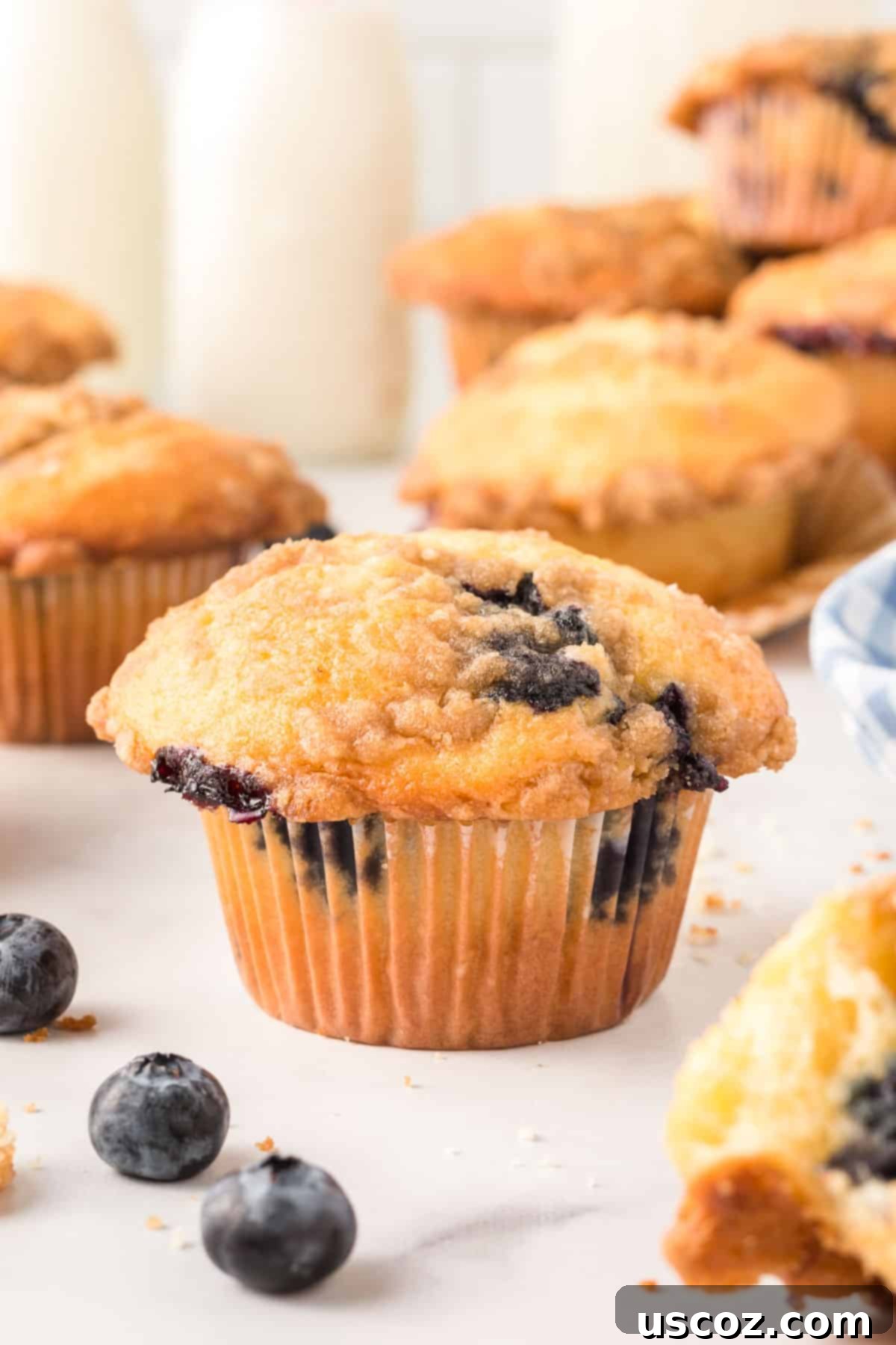 Effortless Cake Mix Blueberry Muffins 2 Freshly baked cake mix blueberry muffin with streusel topping