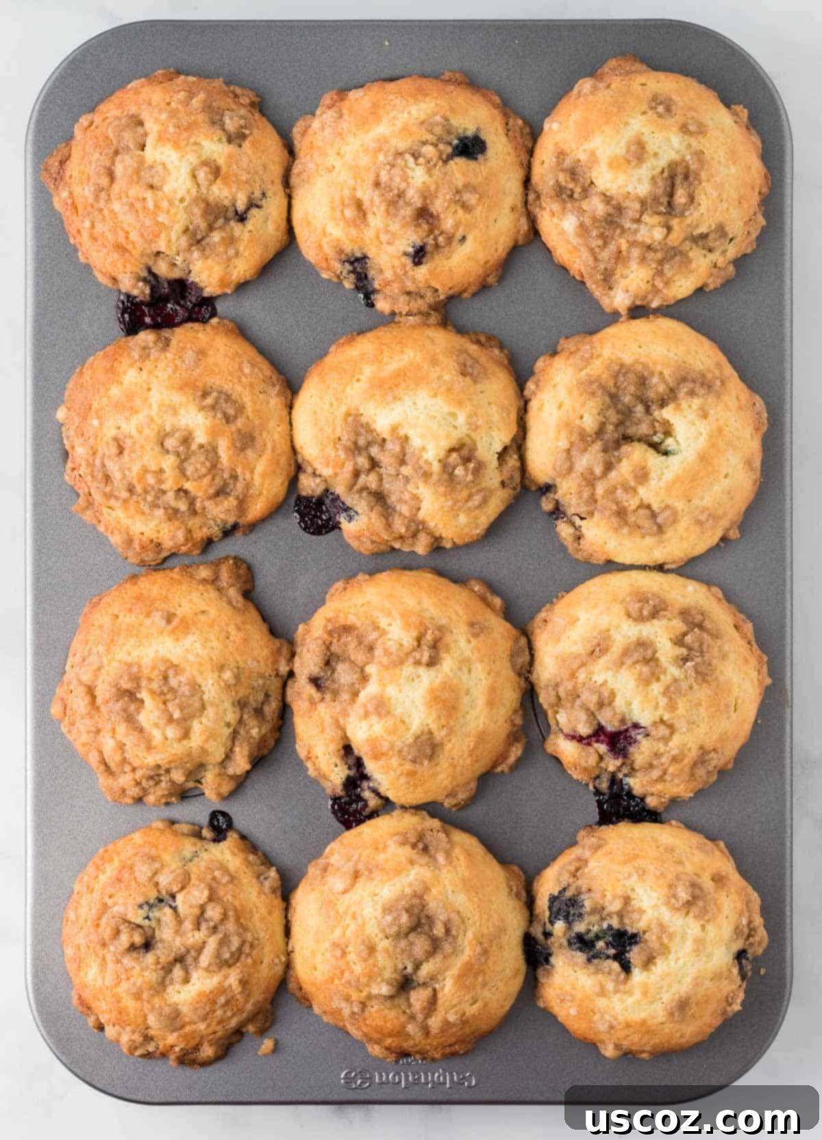 Effortless Cake Mix Blueberry Muffins 15 Baked blueberry muffins cooling in the muffin tin