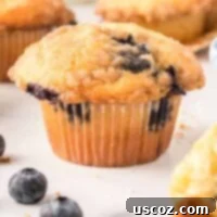 Effortless Cake Mix Blueberry Muffins 18 blueberry muffin
