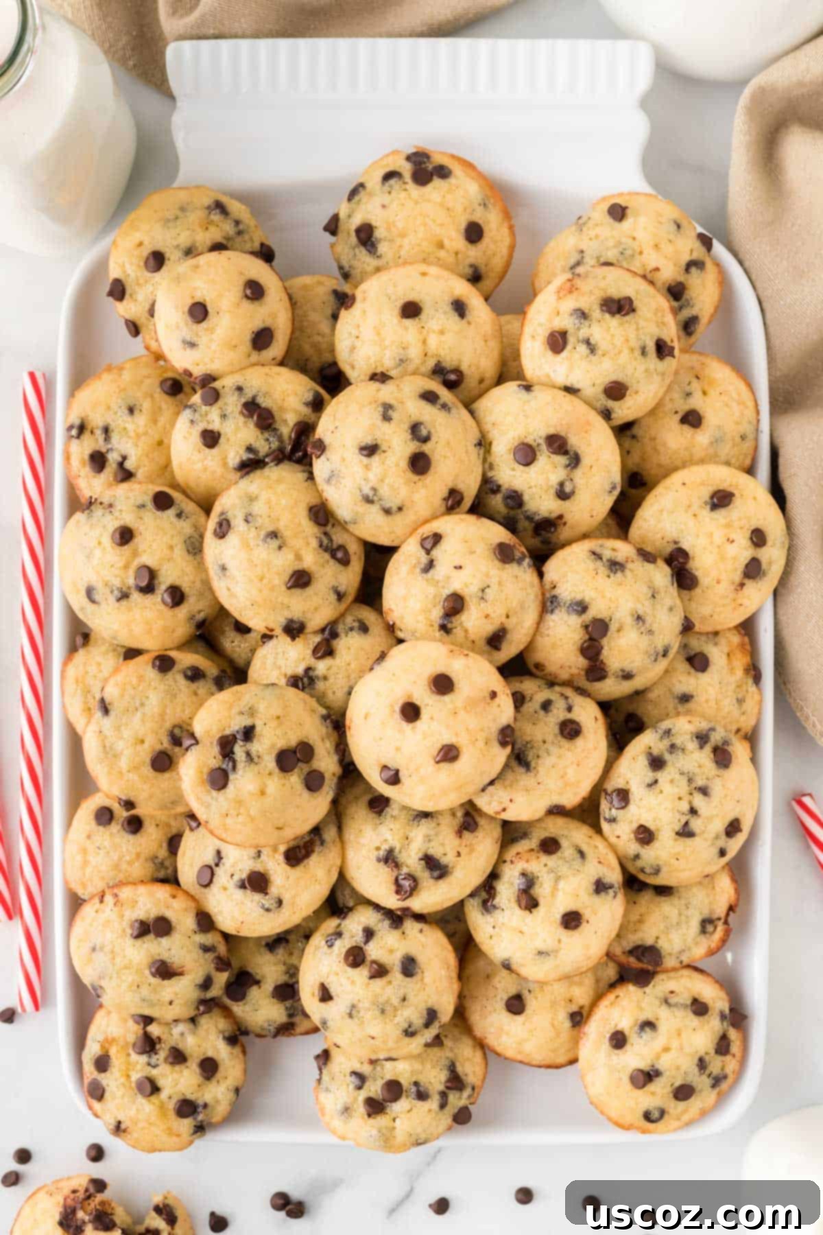 Perfectly Poppable Chocolate Chip Muffins 2 mini chocolate chip muffins stacked on a platter