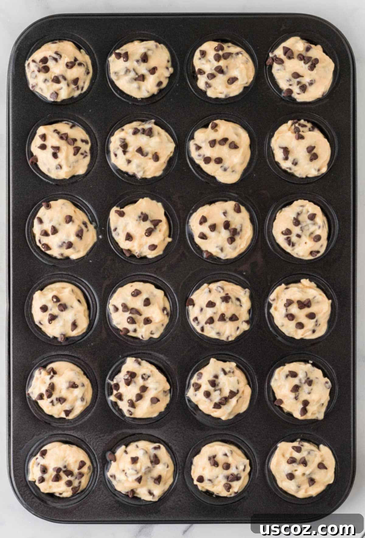 Perfectly Poppable Chocolate Chip Muffins 11 mini muffin pan filled with batter