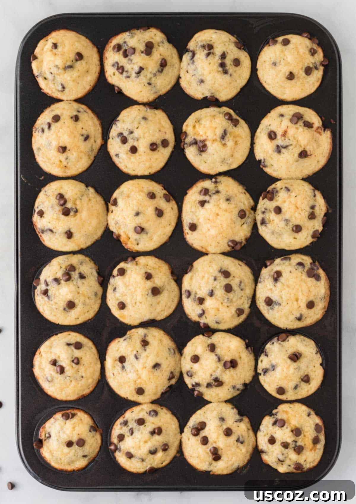 Perfectly Poppable Chocolate Chip Muffins 12 baked mini muffins in the tin
