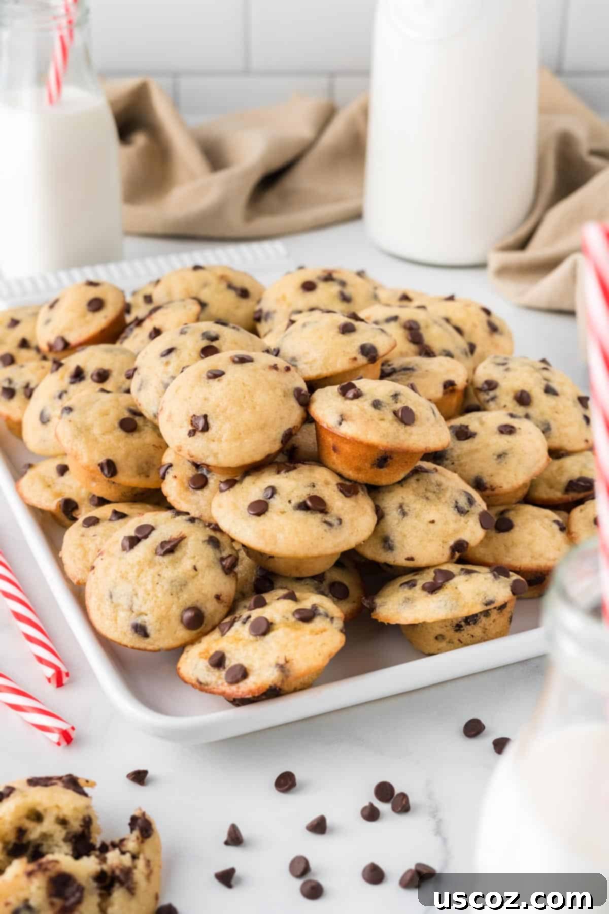 Perfectly Poppable Chocolate Chip Muffins 13 mini chocolate chip muffins stacked on a platter