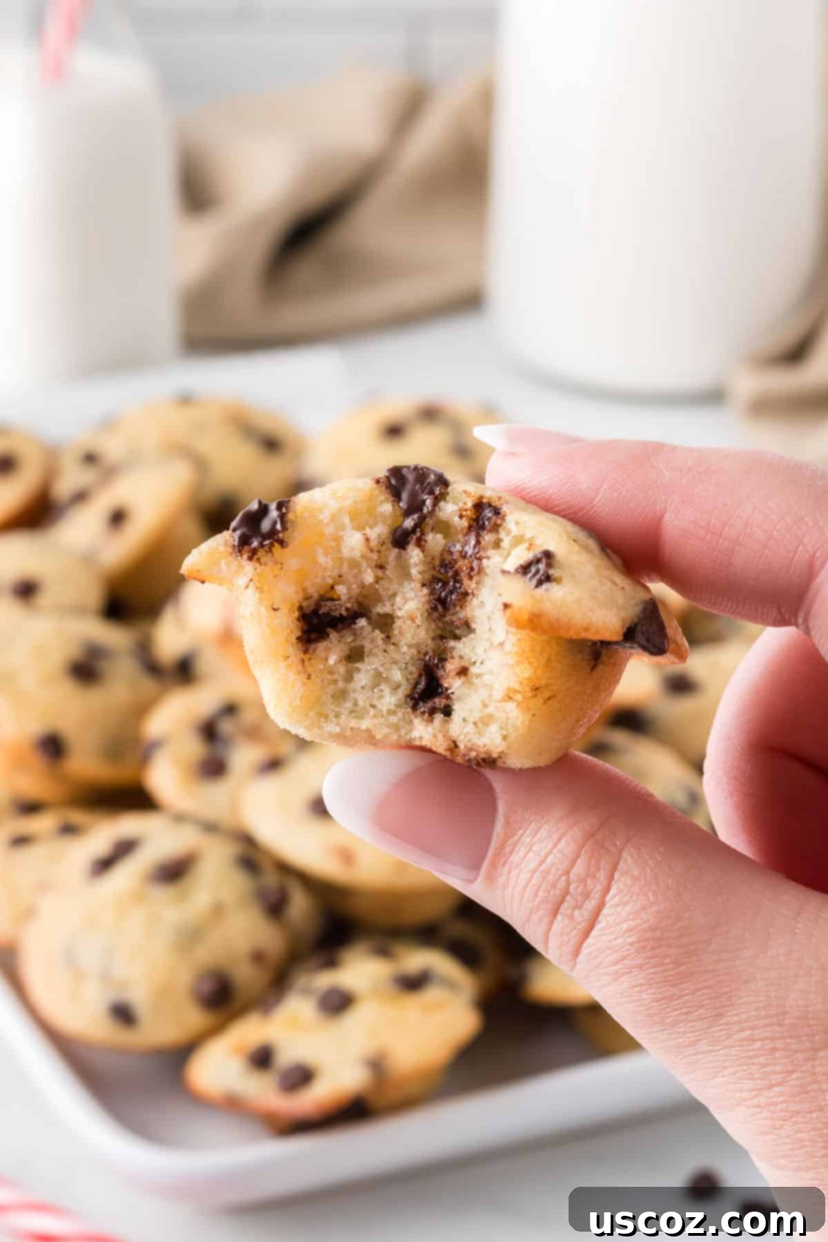Perfectly Poppable Chocolate Chip Muffins 14 hand holding a mini muffin with a bite taken out