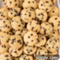 Perfectly Poppable Chocolate Chip Muffins 17 mini chocolate chip muffins stacked on a platter
