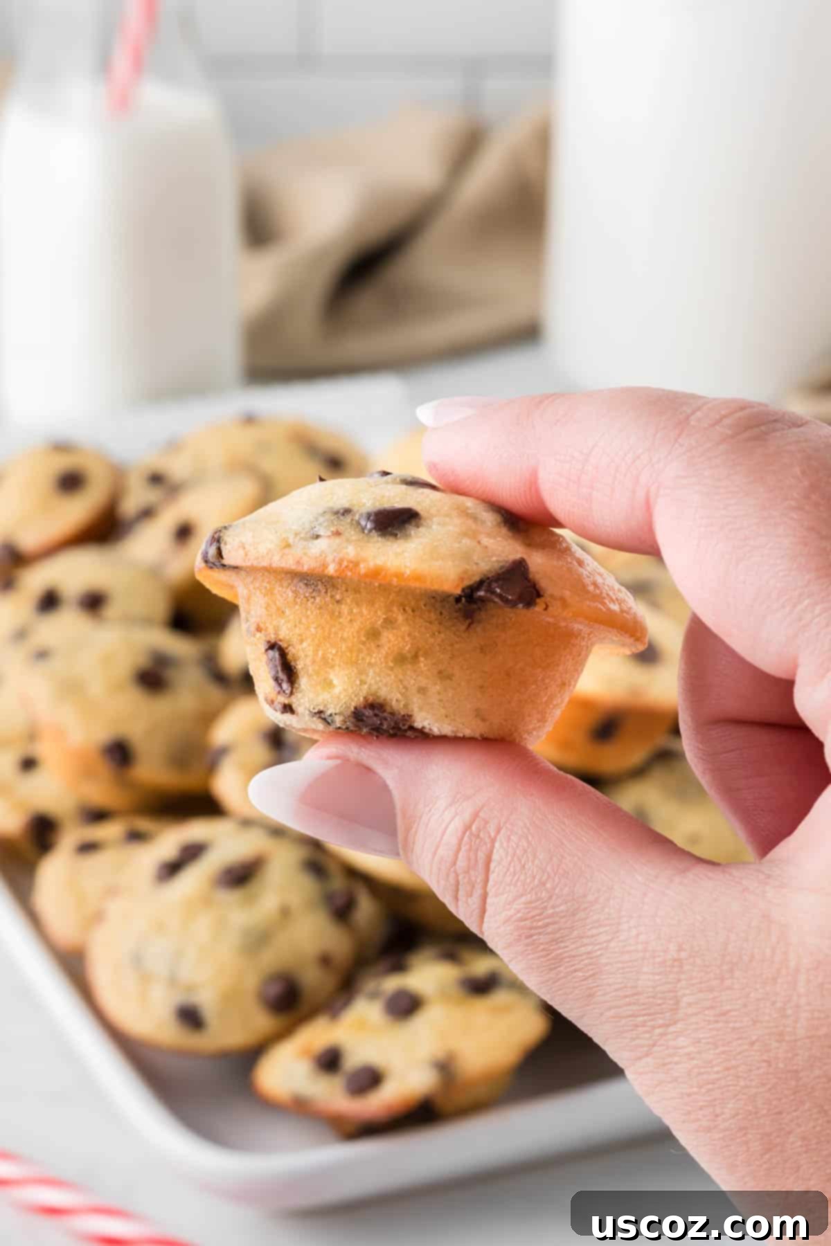 Perfectly Poppable Chocolate Chip Muffins 3 hand holding a mini muffin