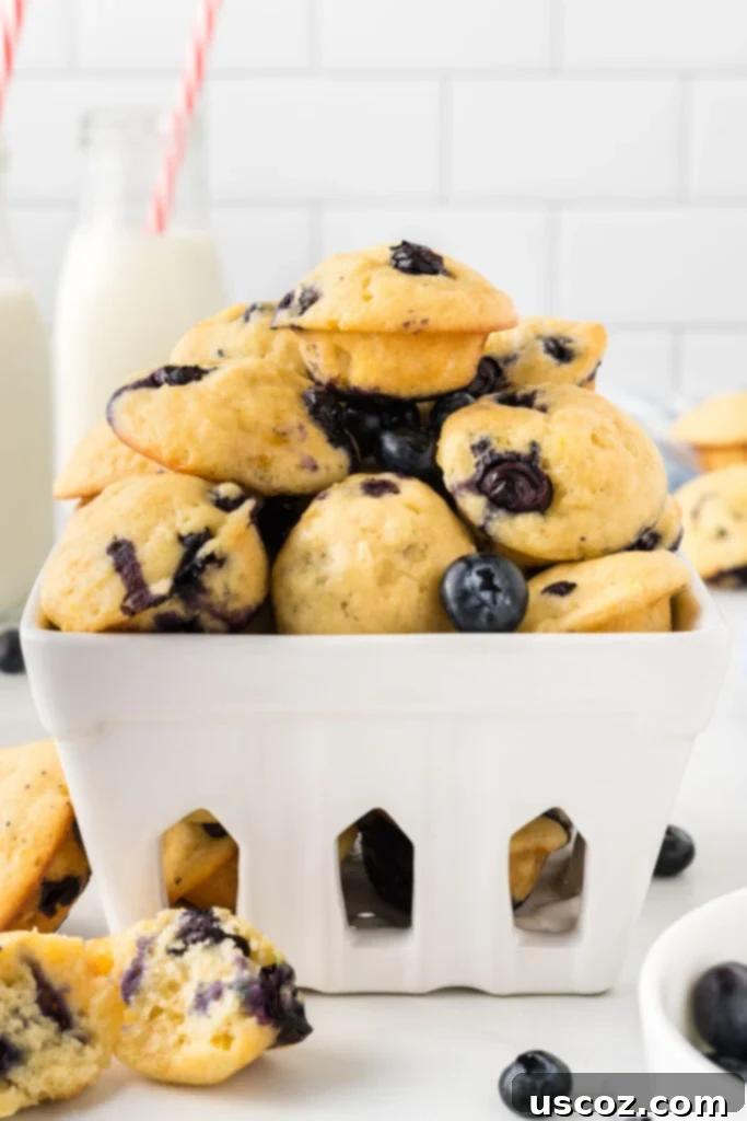 Mini Blueberry Muffins 11 mini muffins in a basket