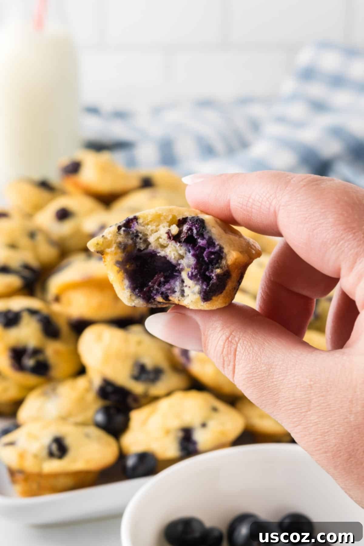 Mini Blueberry Muffins 12 hand holding a mini muffin with a bite taken out