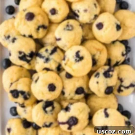 Mini Blueberry Muffins 13 blueberry mini muffins