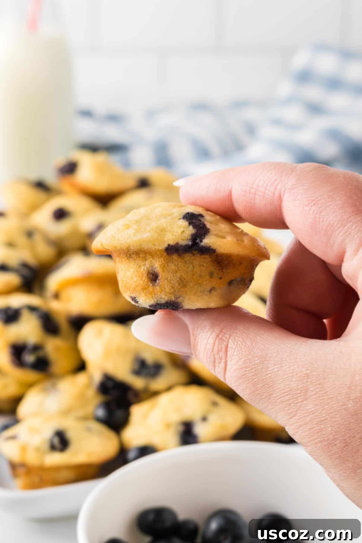Mini Blueberry Muffins 3 hand holding a mini muffin