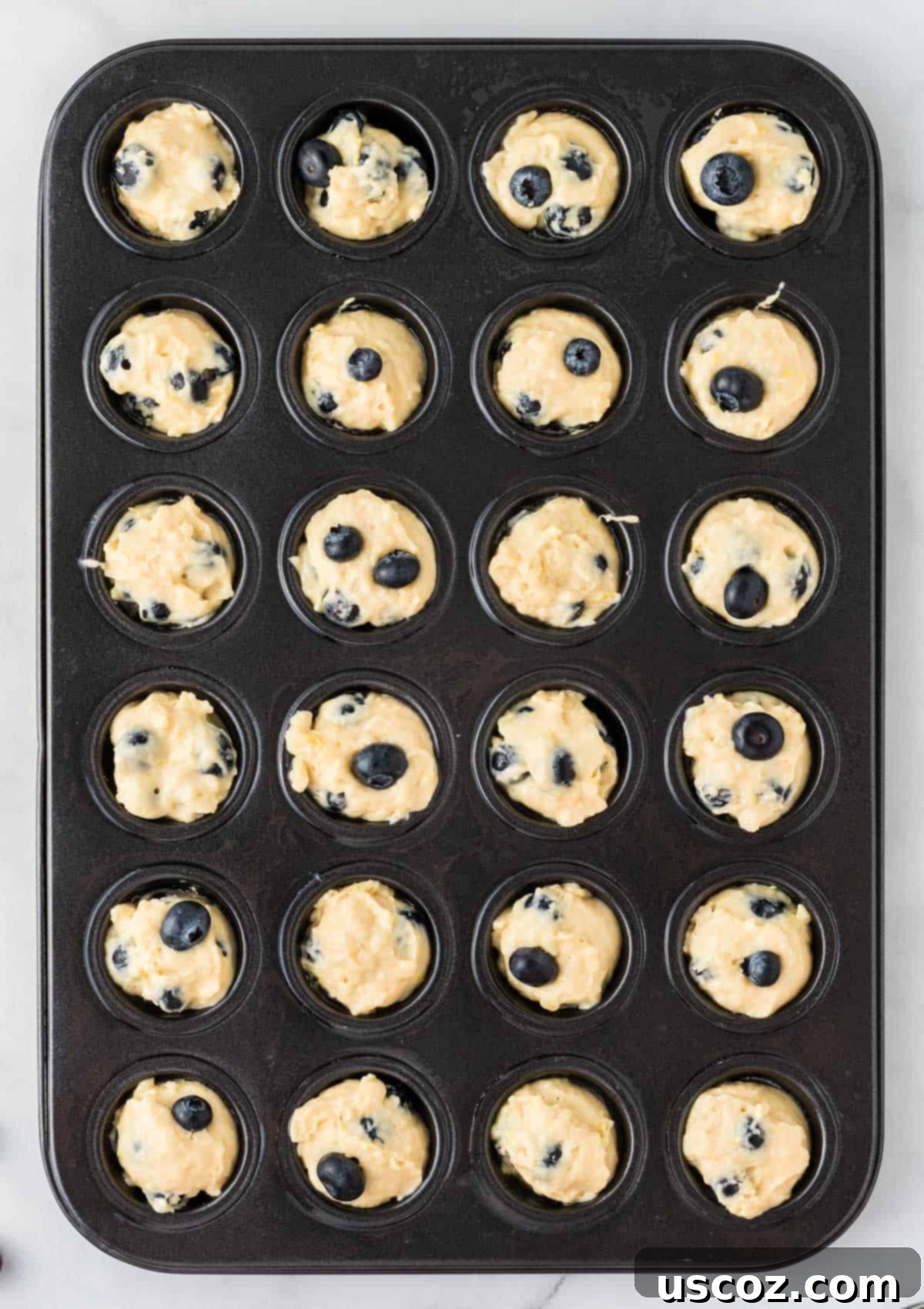 Mini Blueberry Muffins 9 mini muffin tin filled with batter