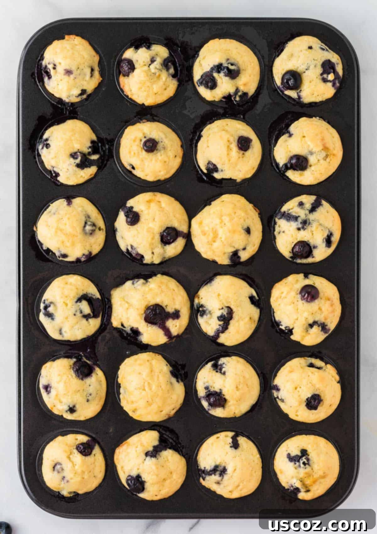Mini Blueberry Muffins 10 mini muffins in the muffin tin
