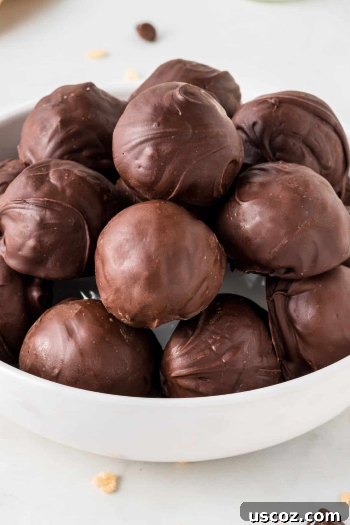 No-Bake Peanut Butter Krispie Treats 11 Several perfectly chocolate-dipped peanut butter balls with Rice Krispies arranged artfully on a serving dish.