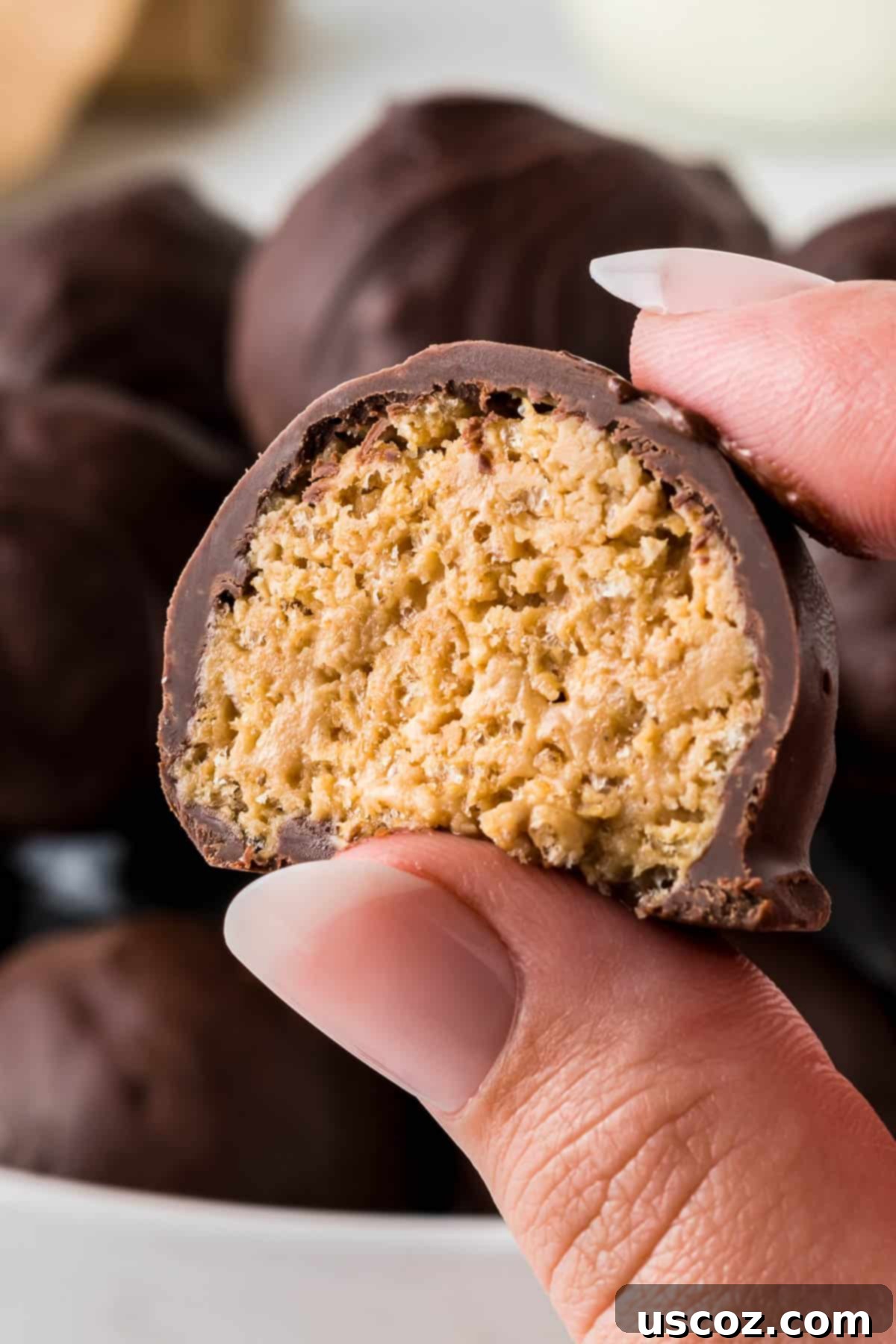 No-Bake Peanut Butter Krispie Treats 10 A hand holding a chocolate-dipped peanut butter ball with a bite taken out, revealing the crunchy Rice Krispies filling.