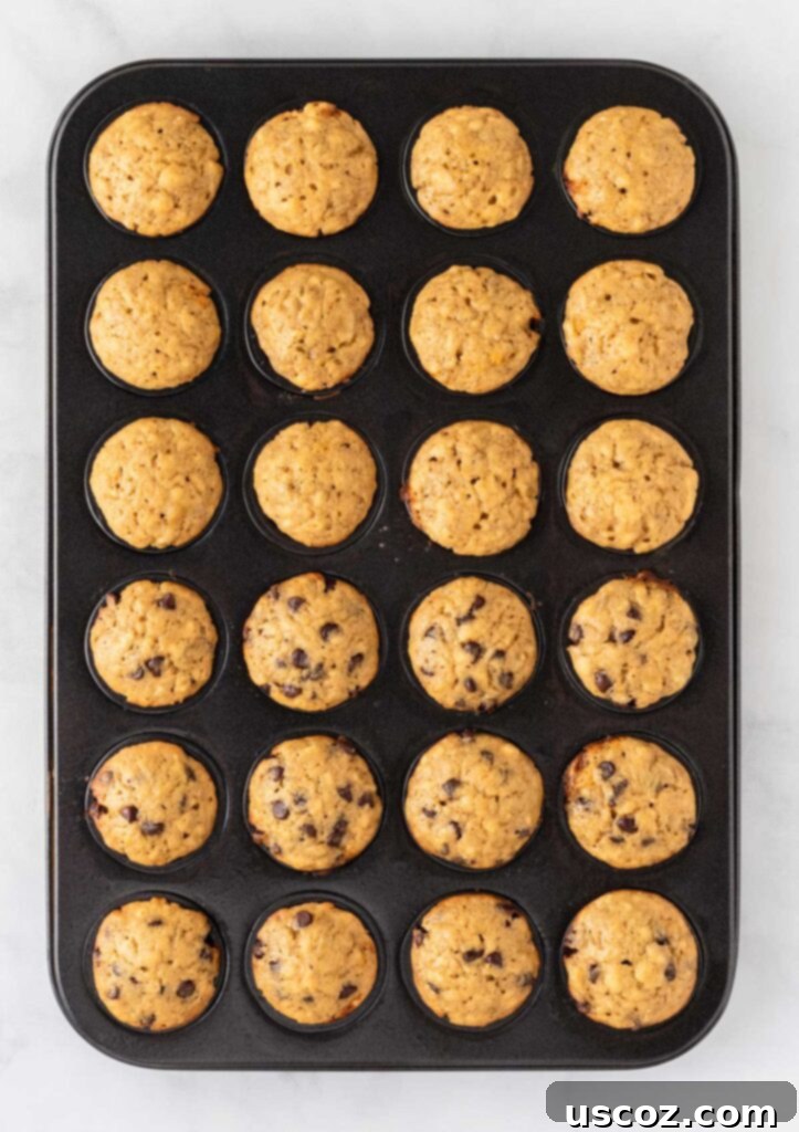 Bite-Sized Banana Muffins 11 Mini banana muffins ready to bake in a greased muffin tin
