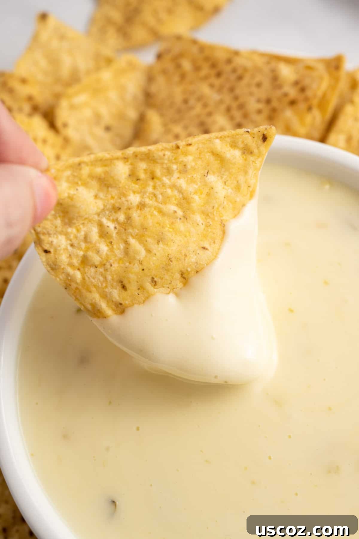 Simple Fresh White Cheese 2 dipping a chip into queso blanco