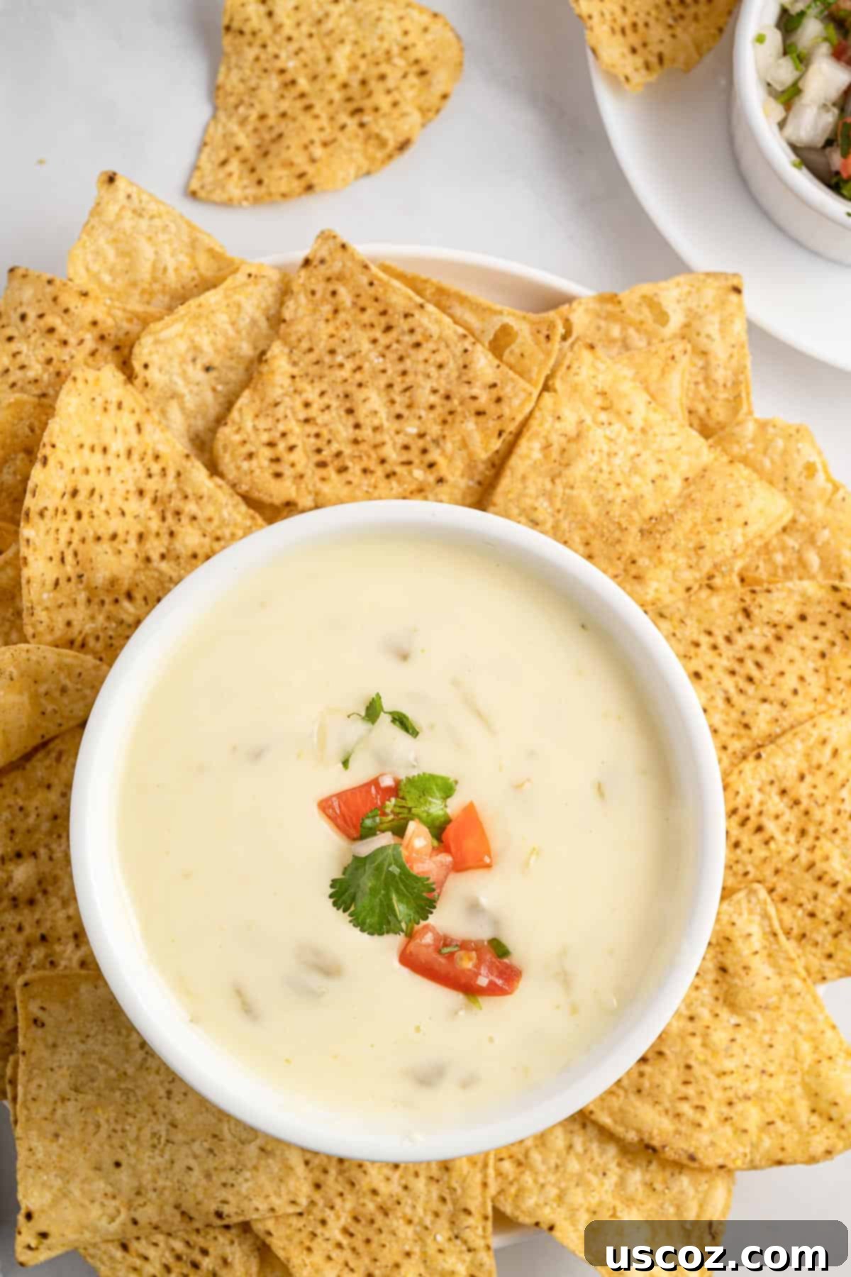 Simple Fresh White Cheese 7 queso dip in a bowl surrounded by chips