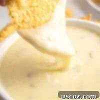 Simple Fresh White Cheese 9 queso blanco dip