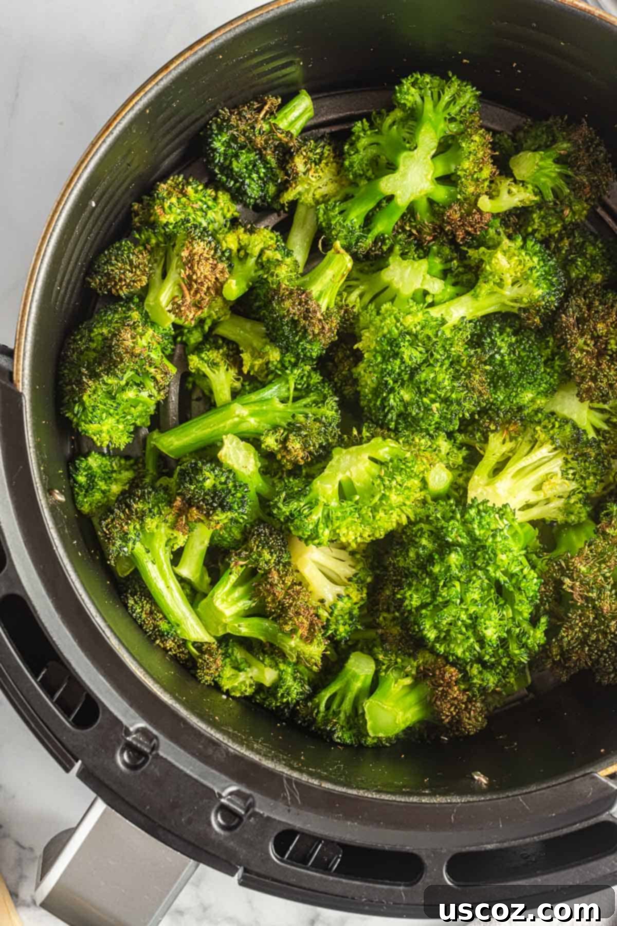 Perfectly Crispy Air Fryer Broccoli 2 Fresh broccoli florets perfectly roasted and crispy in an air fryer basket, ready to serve.