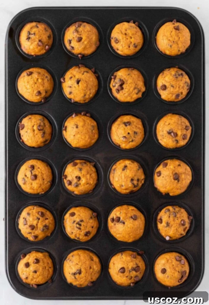 Bite-Sized Pumpkin Delights 15 Golden brown mini pumpkin muffins fresh out of the oven, still in the muffin tin.