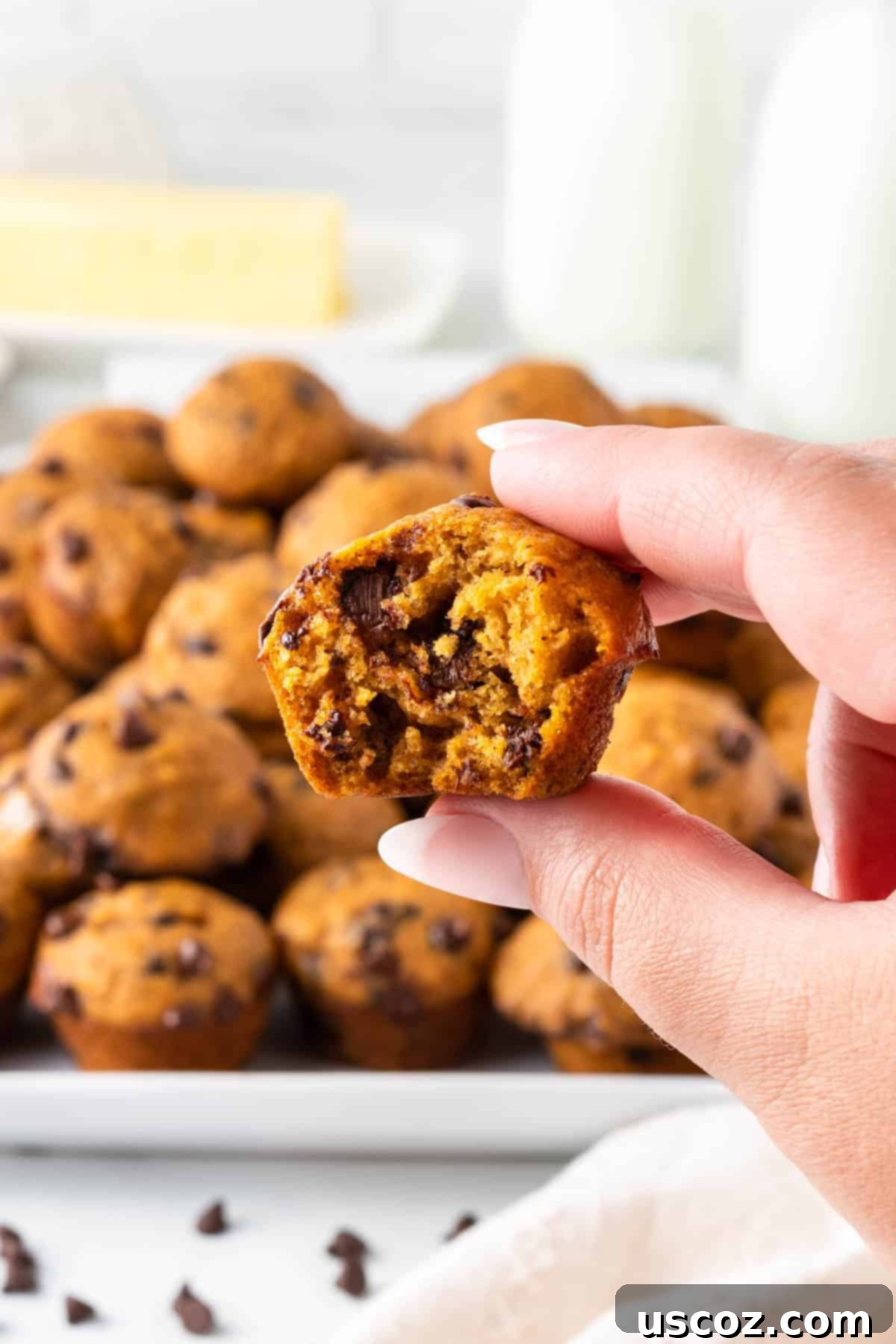 Bite-Sized Pumpkin Delights 17 A mini pumpkin chocolate chip muffin with a bite taken out, revealing the moist interior and melted chocolate chips.