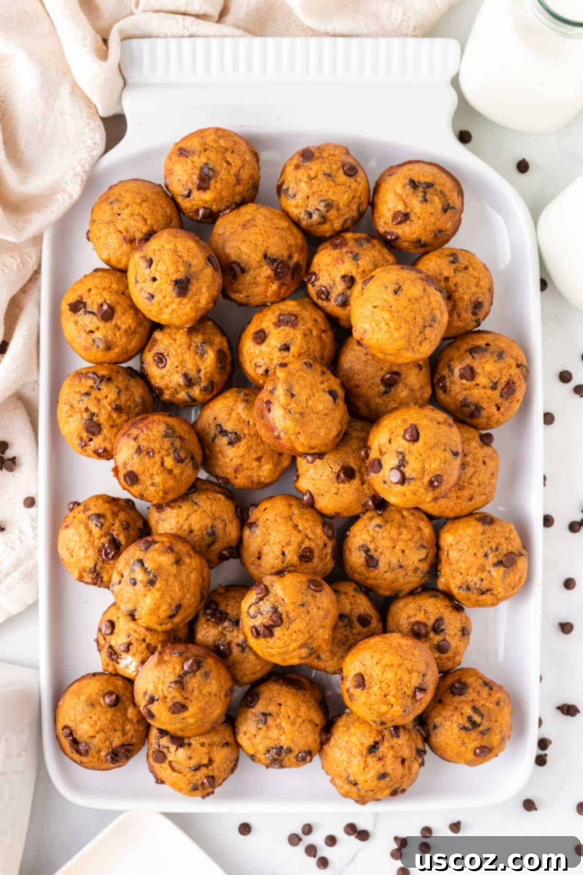 Bite-Sized Pumpkin Delights 18 A white platter generously filled with freshly baked pumpkin mini muffins, inviting and delicious.