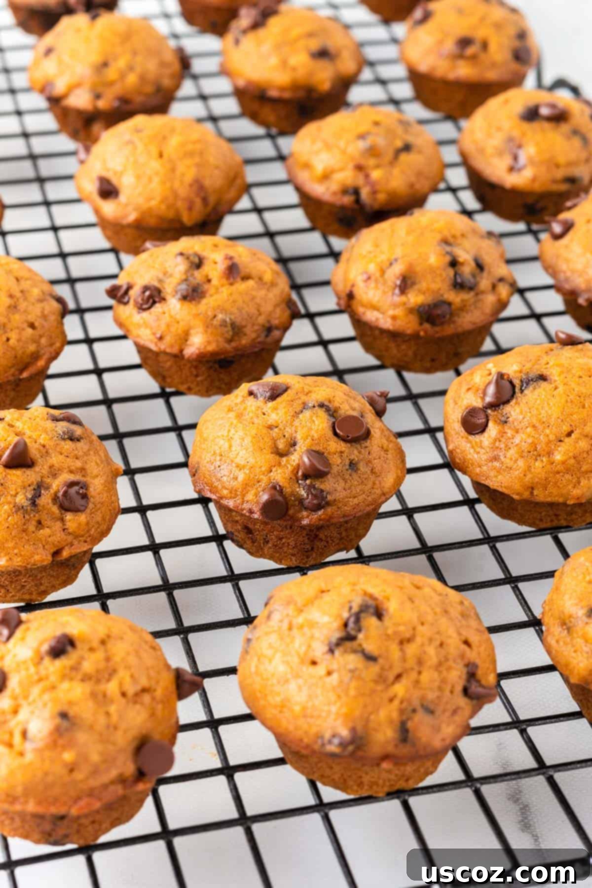 Bite-Sized Pumpkin Delights 19 A generous quantity of freshly baked pumpkin muffins cooling on a wire rack, creating an abundant display.